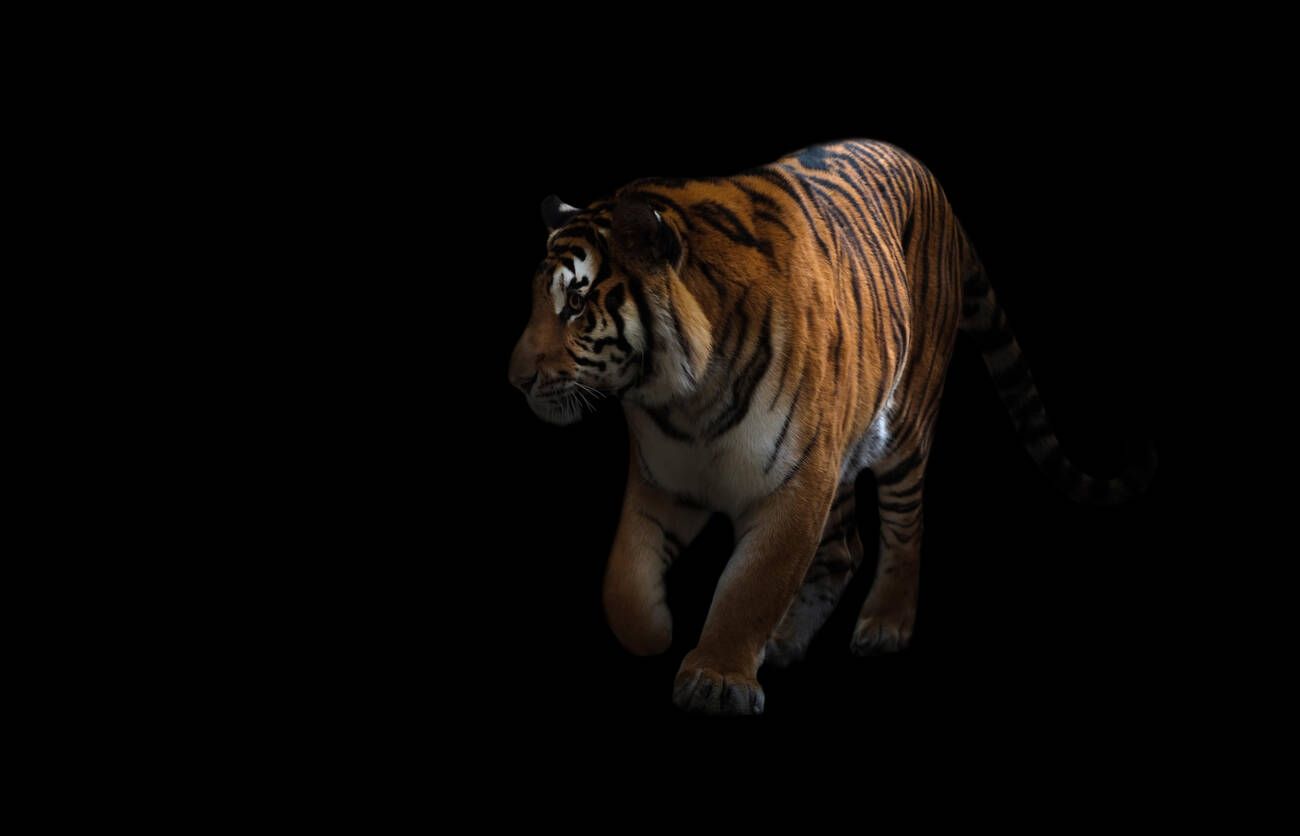 featured-image