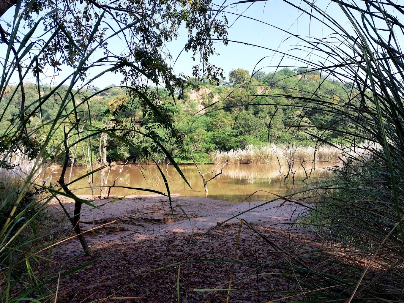 blog-images