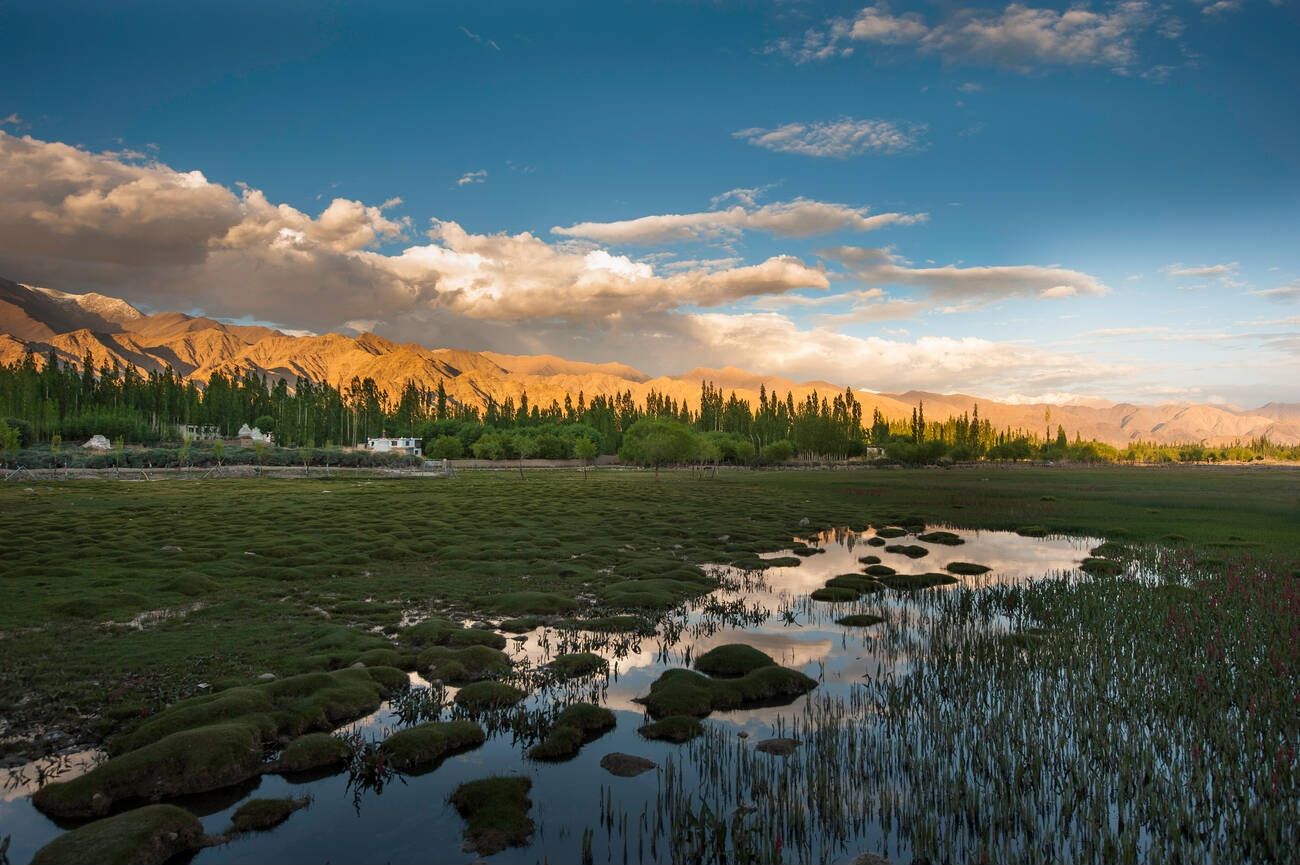 featured-image