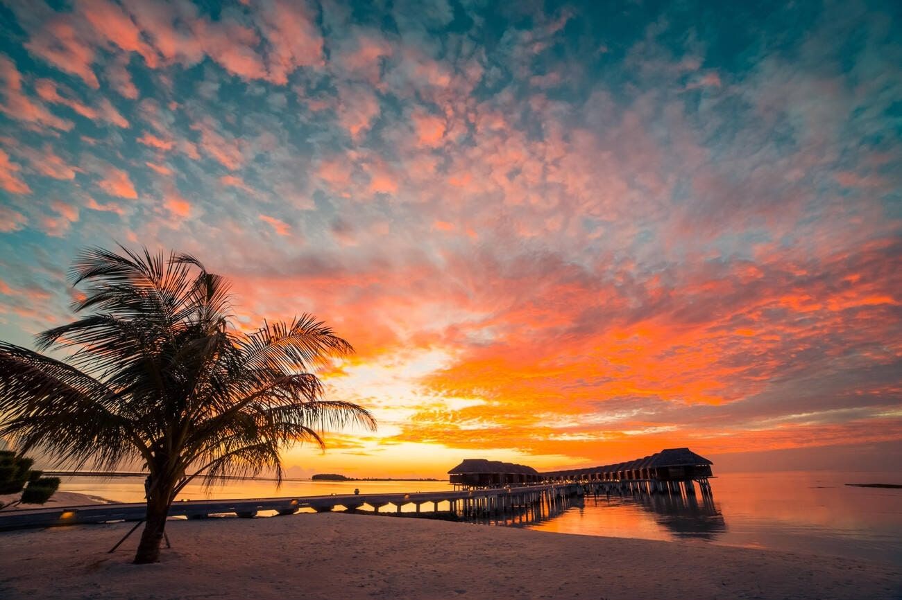 featured-image