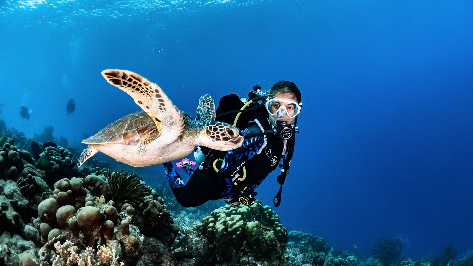 featured-image