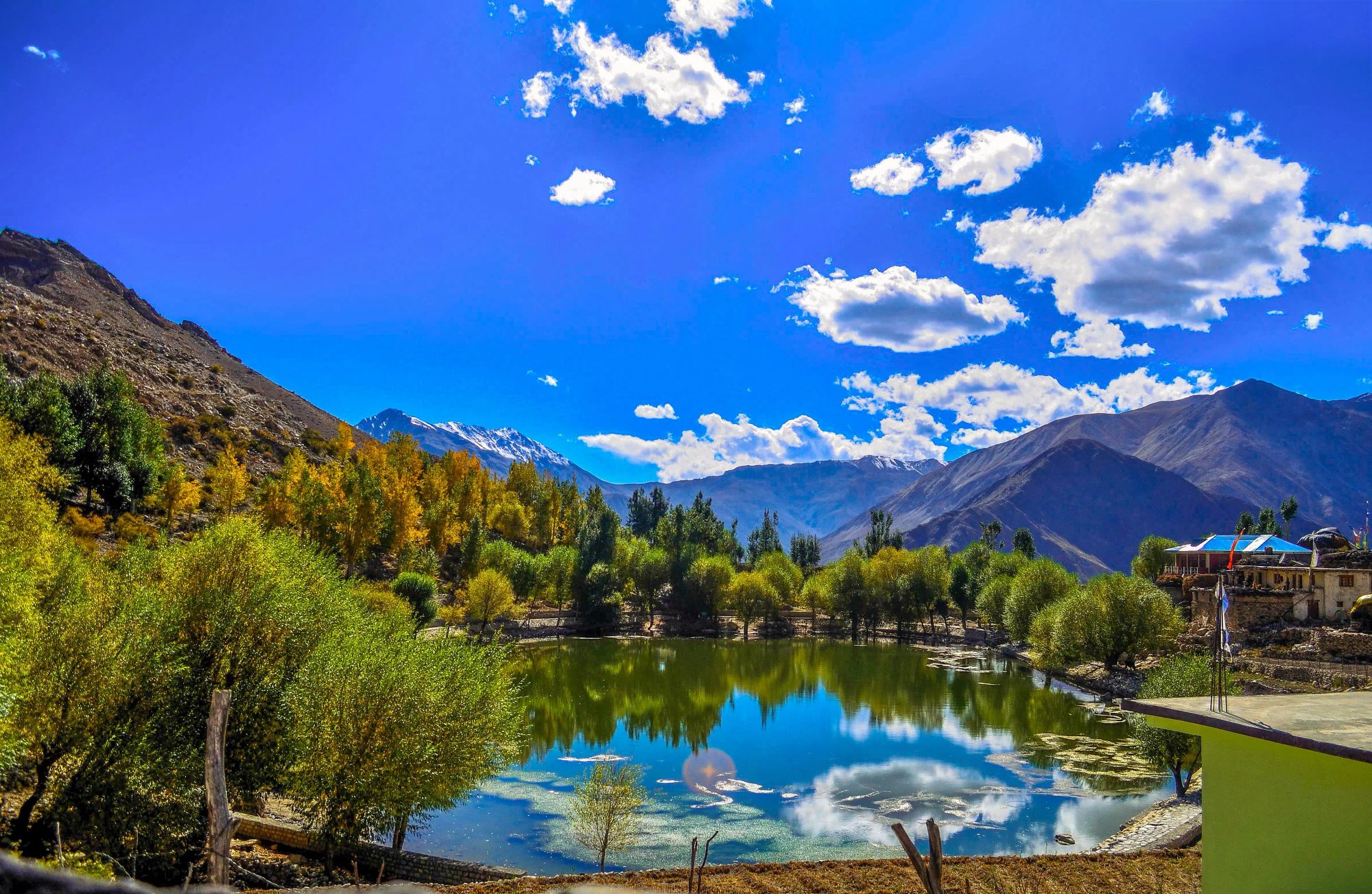 featured-image