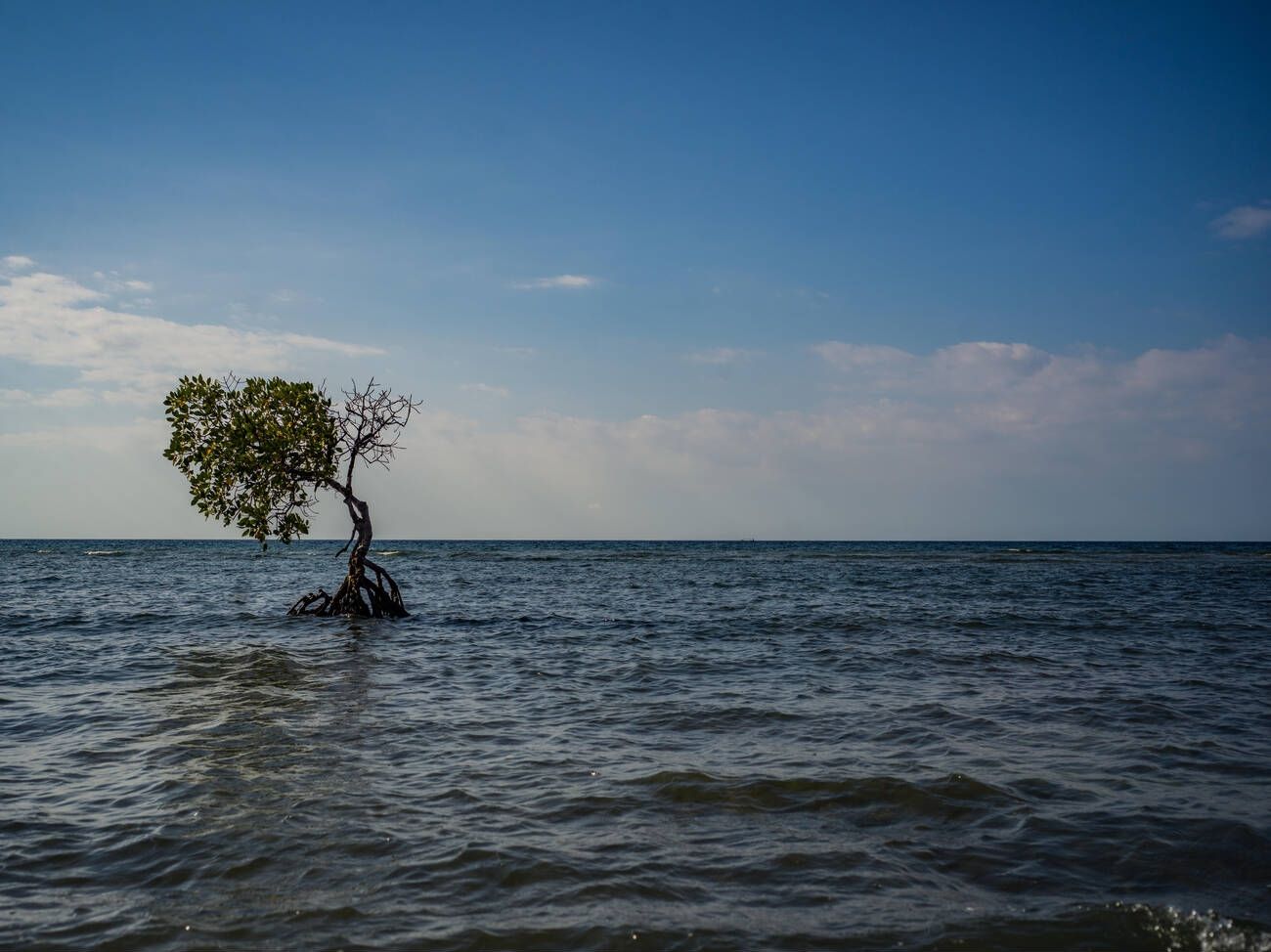 featured-image