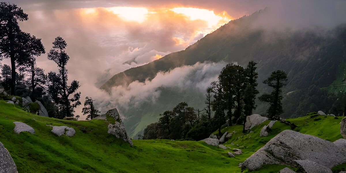 featured-image